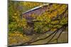 Cox Ford Covered Bridge over Sugar Creek in Parke County, Indiana-Chuck Haney-Mounted Photographic Print