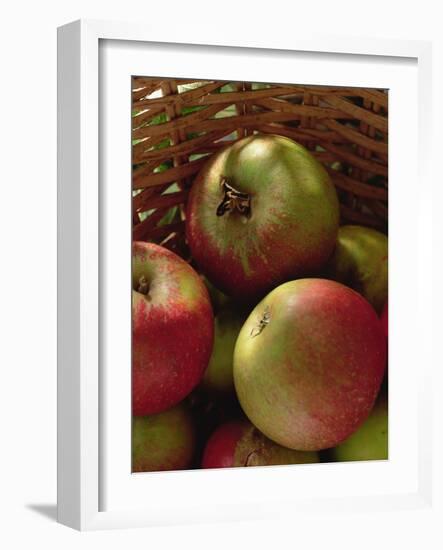 Cox's Apples in Basket, 1994-Norman Hollands-Framed Photographic Print