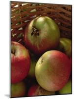 Cox's Apples in Basket, 1994-Norman Hollands-Mounted Photographic Print