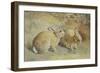 Coy Look-Frank Paton-Framed Giclee Print