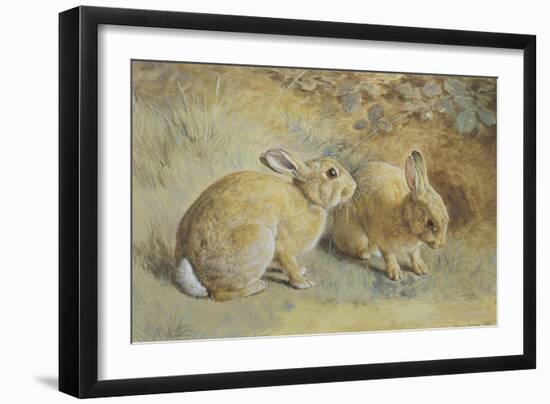 Coy Look-Frank Paton-Framed Giclee Print