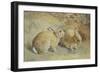 Coy Look-Frank Paton-Framed Giclee Print