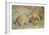 Coy Look-Frank Paton-Framed Giclee Print