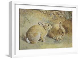 Coy Look-Frank Paton-Framed Giclee Print