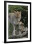 Coyote and Her Pup-DLILLC-Framed Premium Photographic Print