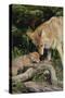 Coyote and Her Pup-DLILLC-Stretched Canvas