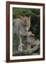 Coyote and Her Pup-DLILLC-Framed Photographic Print