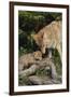 Coyote and Her Pup-DLILLC-Framed Photographic Print