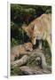 Coyote and Her Pup-DLILLC-Framed Photographic Print