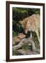 Coyote and Her Pup-DLILLC-Framed Photographic Print