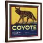 Coyote Brand - Upland, California - Citrus Crate Label-Lantern Press-Framed Art Print