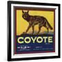 Coyote Brand - Upland, California - Citrus Crate Label-Lantern Press-Framed Art Print