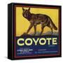 Coyote Brand - Upland, California - Citrus Crate Label-Lantern Press-Framed Stretched Canvas