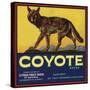 Coyote Brand - Upland, California - Citrus Crate Label-Lantern Press-Stretched Canvas