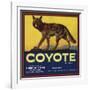 Coyote Brand - Upland, California - Citrus Crate Label-Lantern Press-Framed Art Print