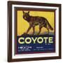 Coyote Brand - Upland, California - Citrus Crate Label-Lantern Press-Framed Art Print