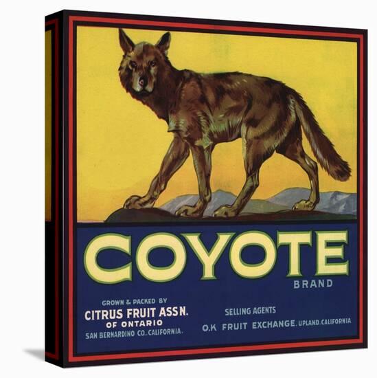 Coyote Brand - Upland, California - Citrus Crate Label-Lantern Press-Stretched Canvas