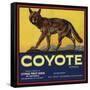 Coyote Brand - Upland, California - Citrus Crate Label-Lantern Press-Framed Stretched Canvas