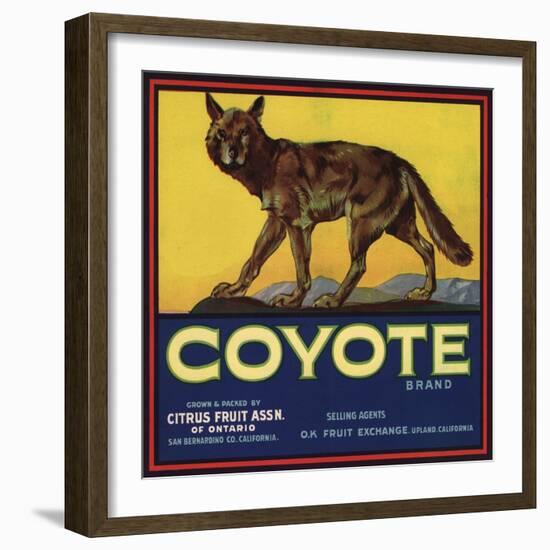 Coyote Brand - Upland, California - Citrus Crate Label-Lantern Press-Framed Art Print