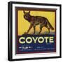 Coyote Brand - Upland, California - Citrus Crate Label-Lantern Press-Framed Art Print