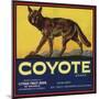 Coyote Brand - Upland, California - Citrus Crate Label-Lantern Press-Mounted Art Print