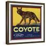 Coyote Brand - Upland, California - Citrus Crate Label-Lantern Press-Framed Premium Giclee Print