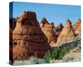 Coyote Buttes Paria Wilderness-null-Stretched Canvas