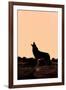 Coyote (Canis latrans) adult, howling, silhouetted at sunrise in high desert, Monument Valley-Jurgen & Christine Sohns-Framed Photographic Print
