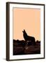 Coyote (Canis latrans) adult, howling, silhouetted at sunrise in high desert, Monument Valley-Jurgen & Christine Sohns-Framed Photographic Print