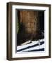 Coyote Dwarfed by a Tall Sequoia Tree Trunk in Sequoia National Park, California, USA-Kober Christian-Framed Photographic Print