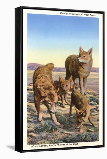 Coyote Family-null-Framed Stretched Canvas