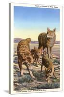 Coyote Family-null-Stretched Canvas