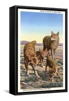 Coyote Family-null-Framed Stretched Canvas