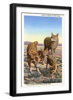 Coyote Family-null-Framed Art Print