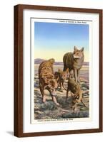 Coyote Family-null-Framed Art Print