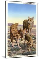 Coyote Family-null-Mounted Art Print