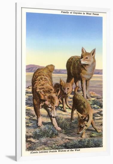 Coyote Family-null-Framed Art Print