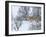 Coyote in Snow-Galloimages Online-Framed Photographic Print