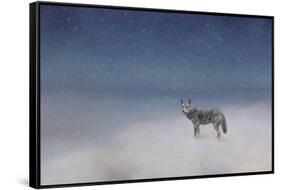 Coyote in Winter-Jai Johnson-Framed Stretched Canvas