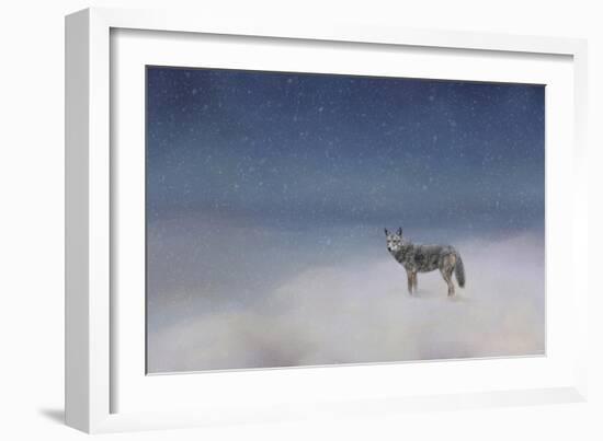 Coyote in Winter-Jai Johnson-Framed Giclee Print