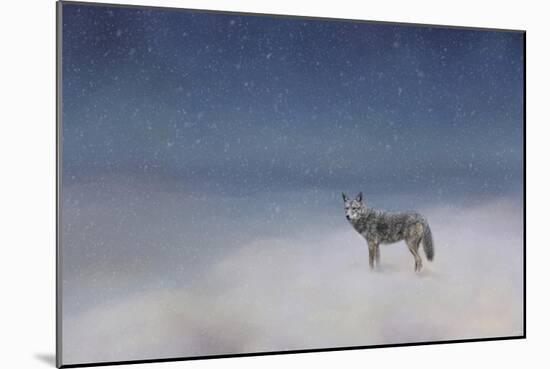 Coyote in Winter-Jai Johnson-Mounted Giclee Print