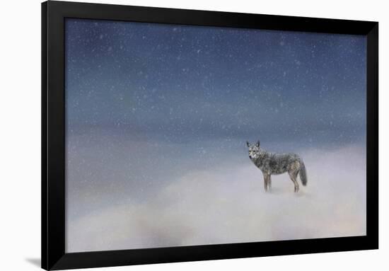 Coyote in Winter-Jai Johnson-Framed Giclee Print