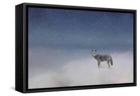 Coyote in Winter-Jai Johnson-Framed Stretched Canvas