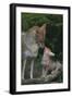 Coyote Mother and Pup-DLILLC-Framed Premium Photographic Print