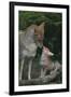 Coyote Mother and Pup-DLILLC-Framed Photographic Print