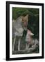 Coyote Mother and Pup-DLILLC-Framed Photographic Print