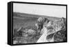 Coyote on Prairie Lurking for Prey-Philip Gendreau-Framed Stretched Canvas