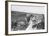 Coyote on Prairie Lurking for Prey-Philip Gendreau-Framed Photographic Print