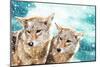 Coyote Pair & Blue Winter Sky-null-Mounted Art Print