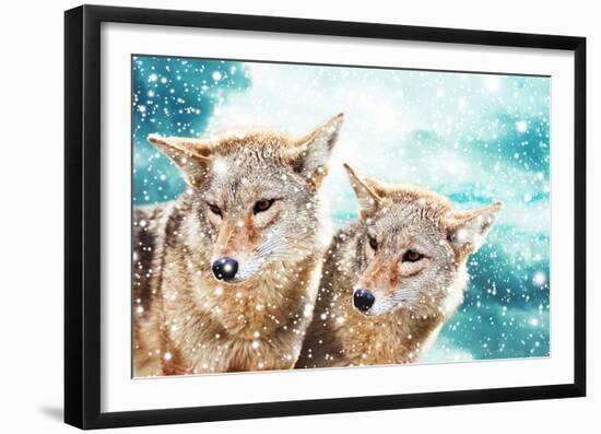 Coyote Pair & Blue Winter Sky-null-Framed Art Print